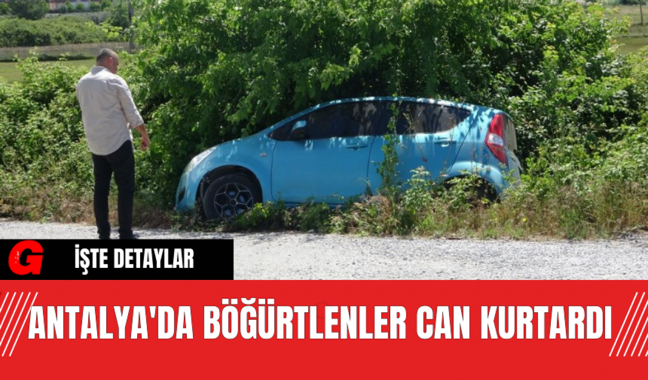 Antalya'da Böğürtlenler Can Kurtardı