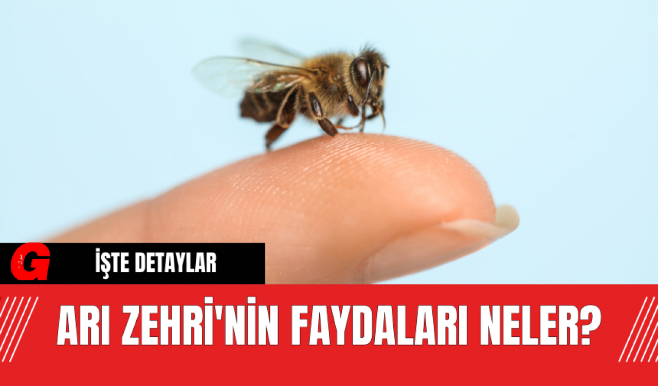 Arı Zehri'nin Faydaları Neler?