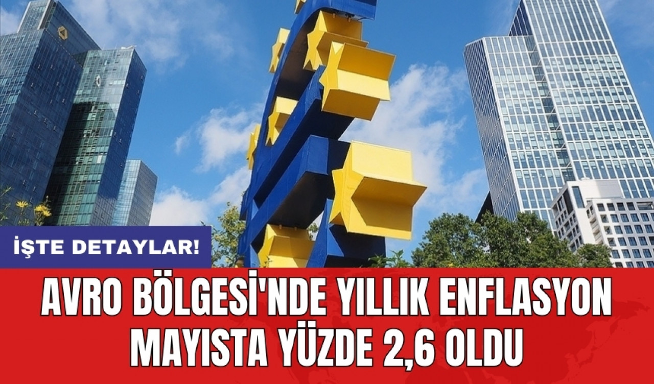 Avro Bölgesi'nde yıllık enflasyon mayısta yüzde 2,6 oldu