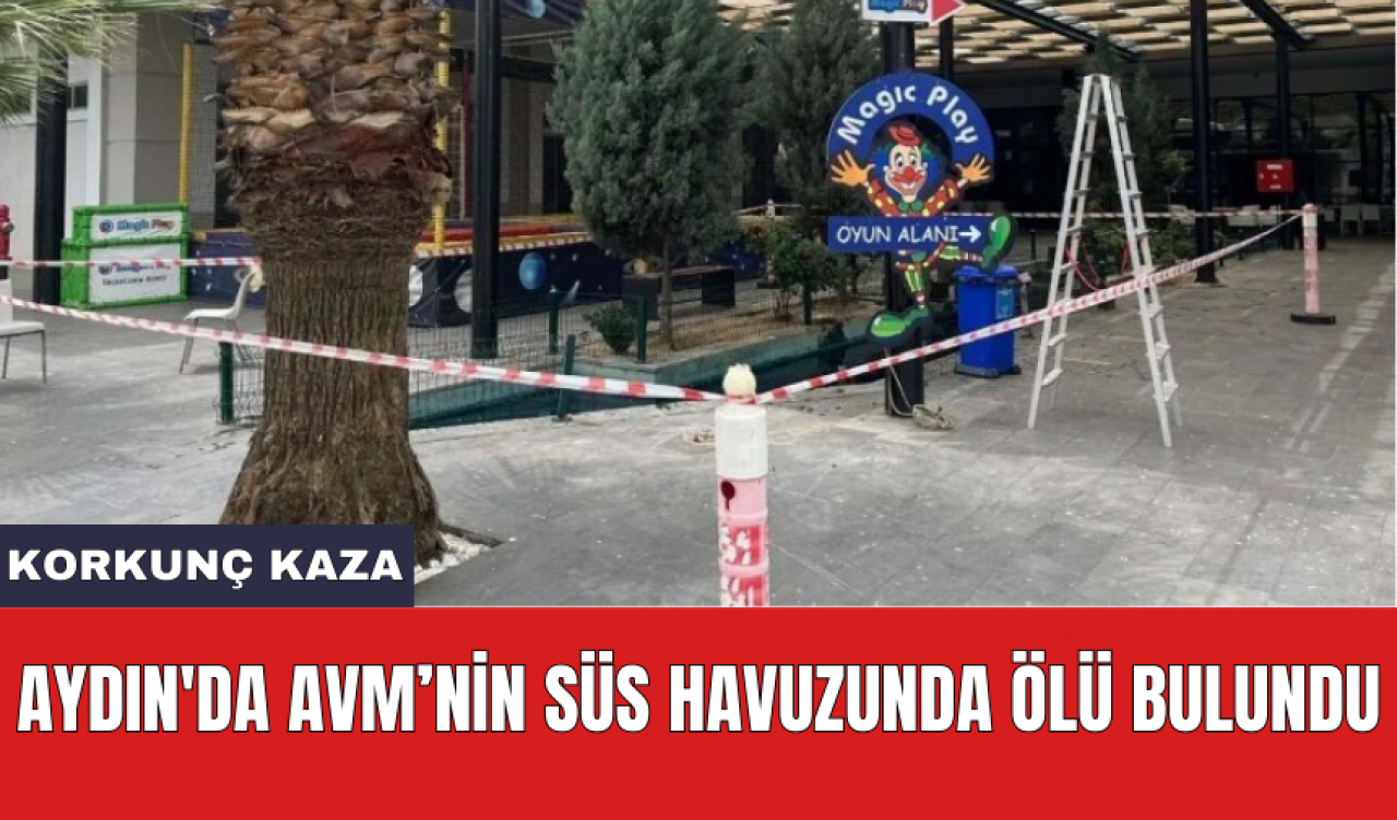 Aydın'da AVM’nin süs havuzunda ölü bulundu