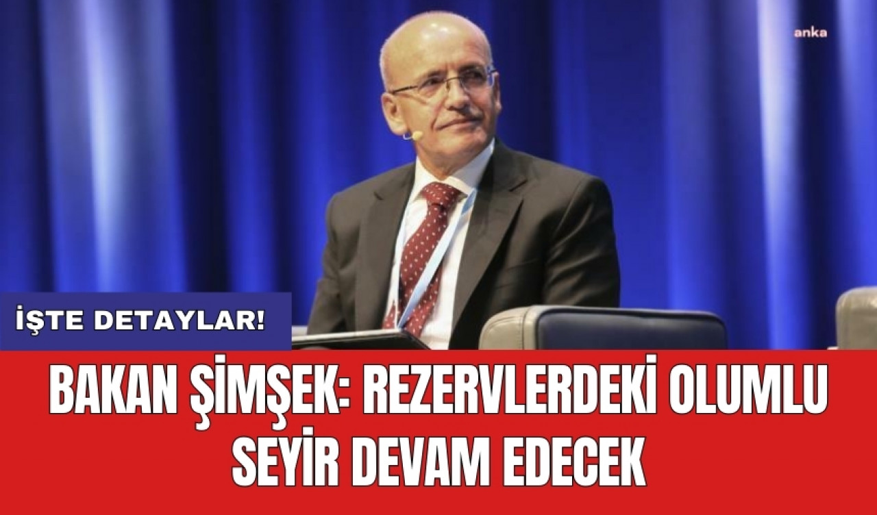 Bakan Şimşek: Rezervlerdeki olumlu seyir devam edecek