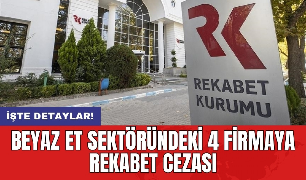 Beyaz et sektöründeki 4 firmaya rekabet cezası