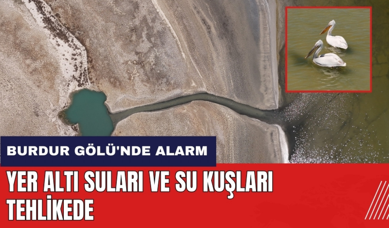 Burdur Gölü'nde alarm! Yer altı suları ve su kuşları tehlikede