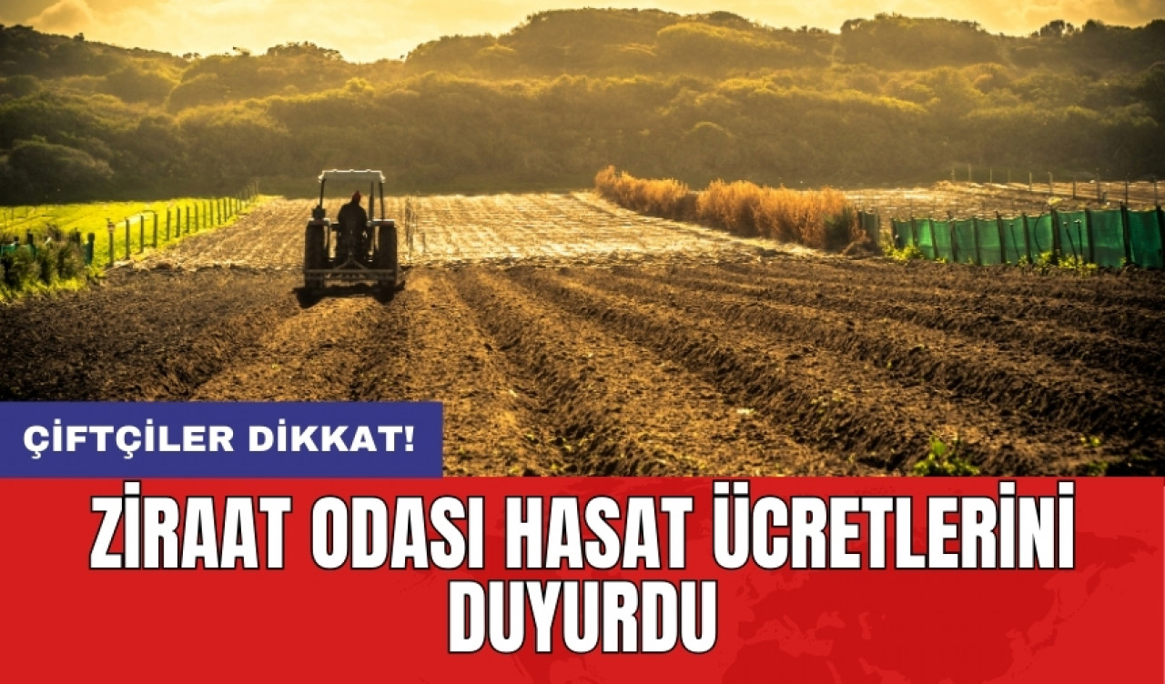 Çiftçiler dikkat! Ziraat Odası hasat ücretlerini duyurdu