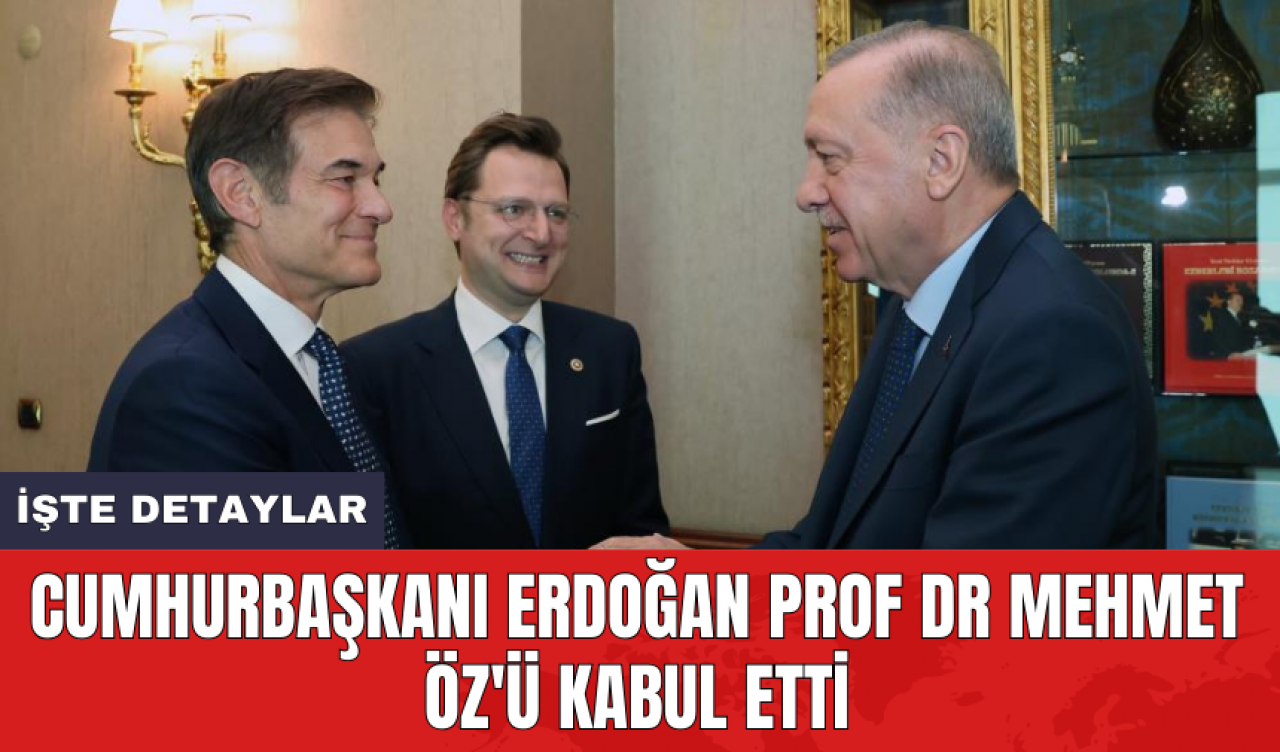 Cumhurbaşkanı Erdoğan Prof Dr Mehmet Öz'ü kabul etti