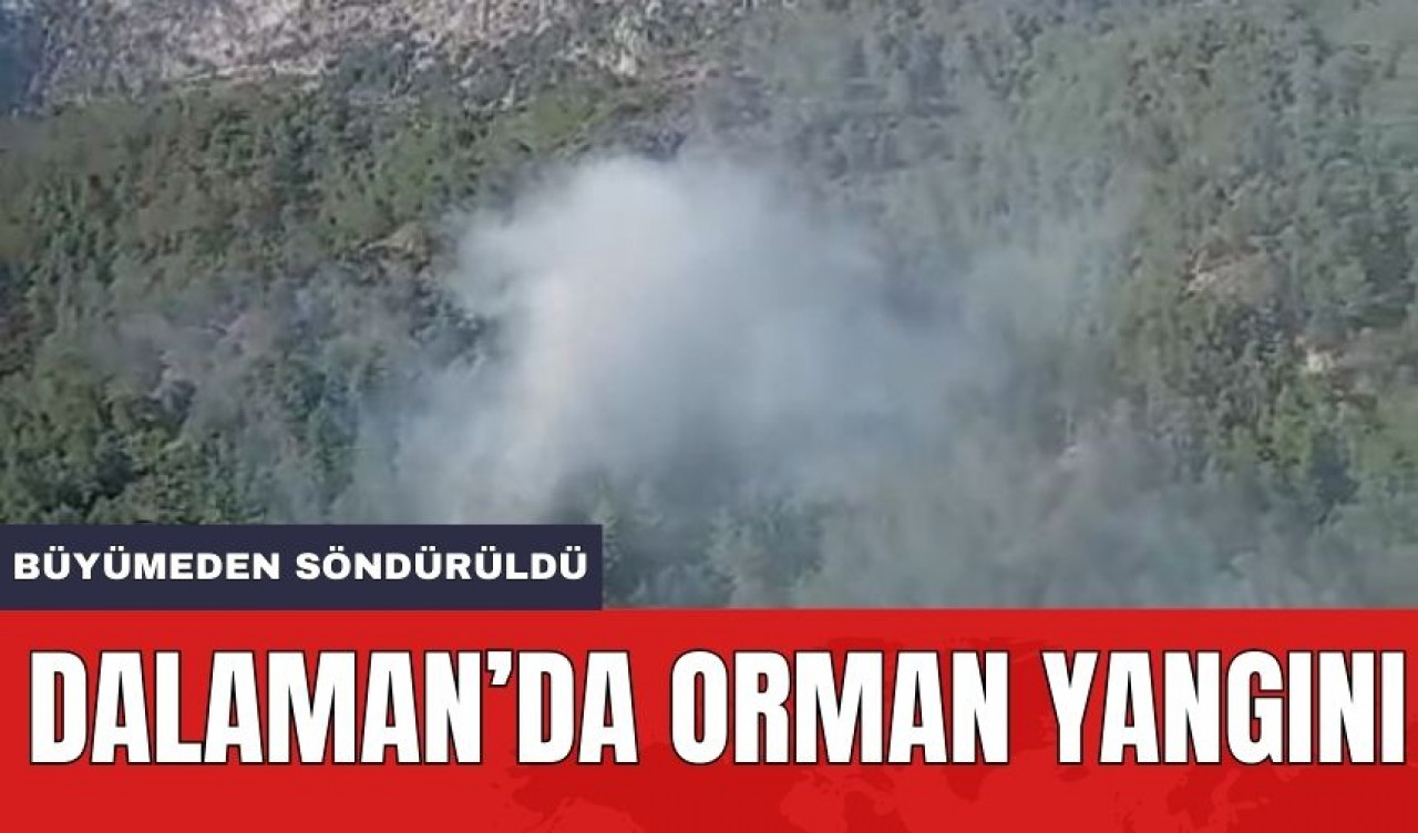 Dalaman'da Orman Yangını