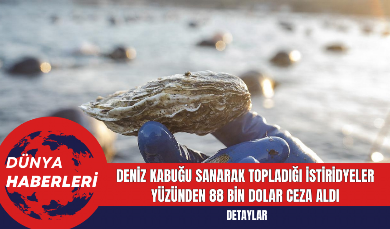 Deniz Kabuğu Sanarak Topladığı İstiridyeler Yüzünden 88 Bin Dolar Ceza Aldı