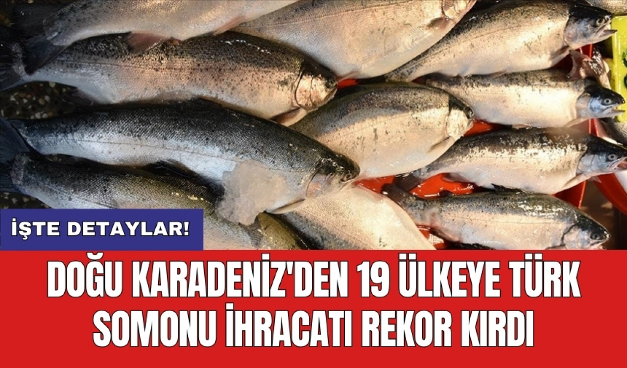 Doğu Karadeniz'den 19 Ülkeye Türk somonu ihracatı rekor kırdı