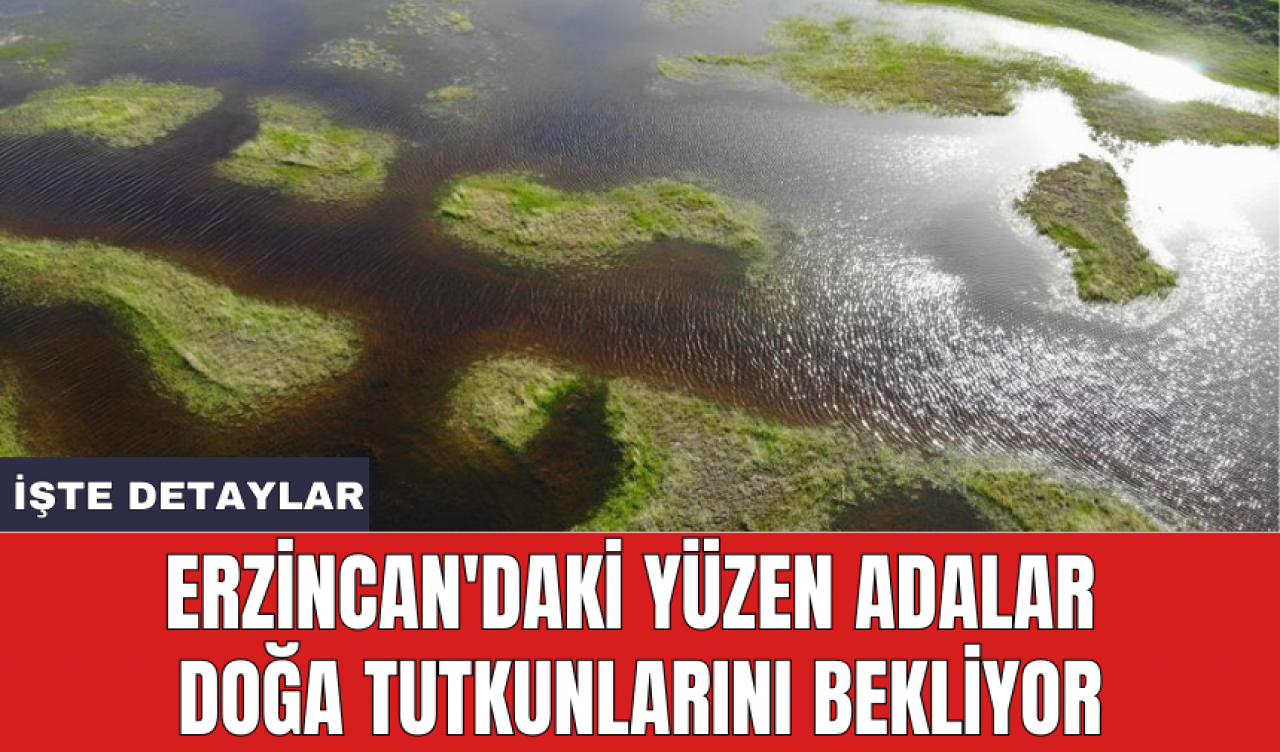 Erzincan'daki yüzen adalar doğa tutkunlarını bekliyor