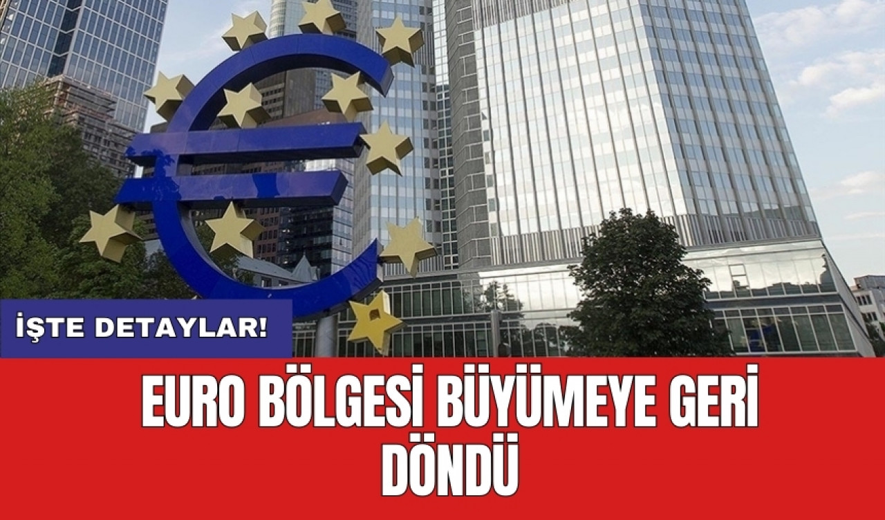 Euro bölgesi büyümeye geri döndü