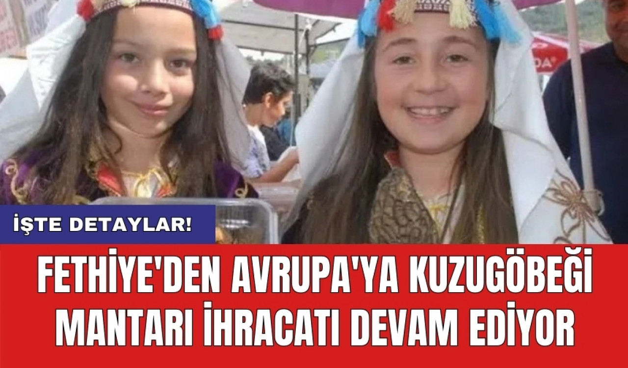 Fethiye'den Avrupa'ya Kuzugöbeği Mantarı İhracatı Devam Ediyor