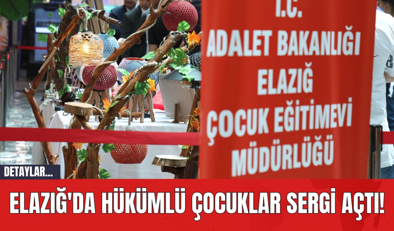 Elazığ'da Hükümlü Çocuklar Sergi Açtı!