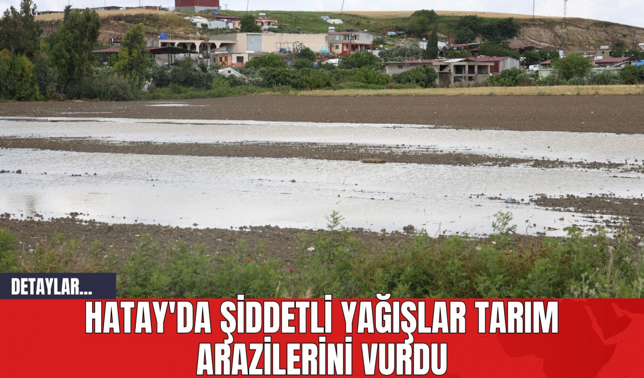 Hatay'da Şiddetli Yağışlar Tarım Arazilerini Vurdu