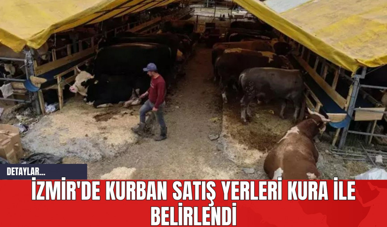 İzmir'de Kurban Satış Yerleri Kura ile Belirlendi