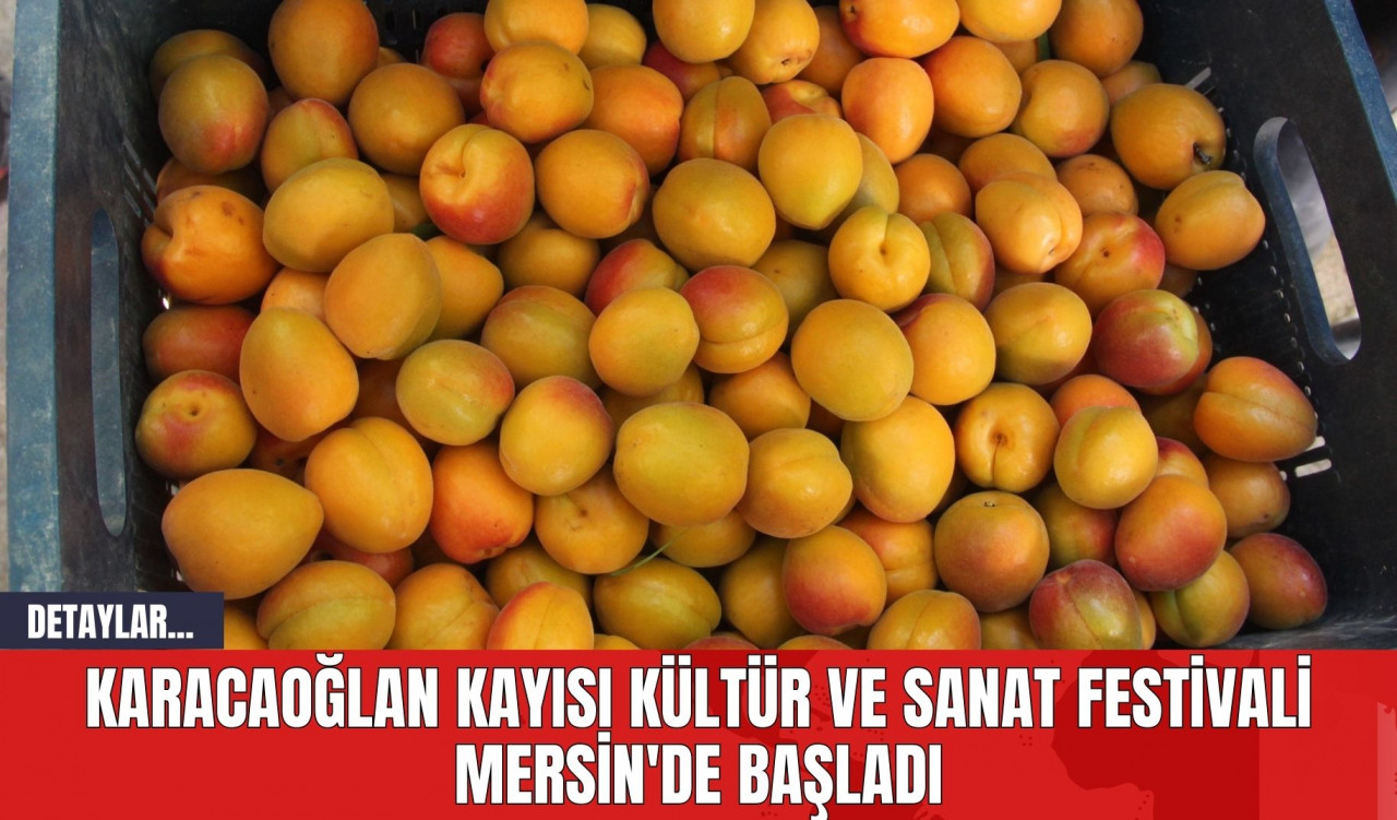 Karacaoğlan Kayısı Kültür ve Sanat Festivali Mersin'de Başladı