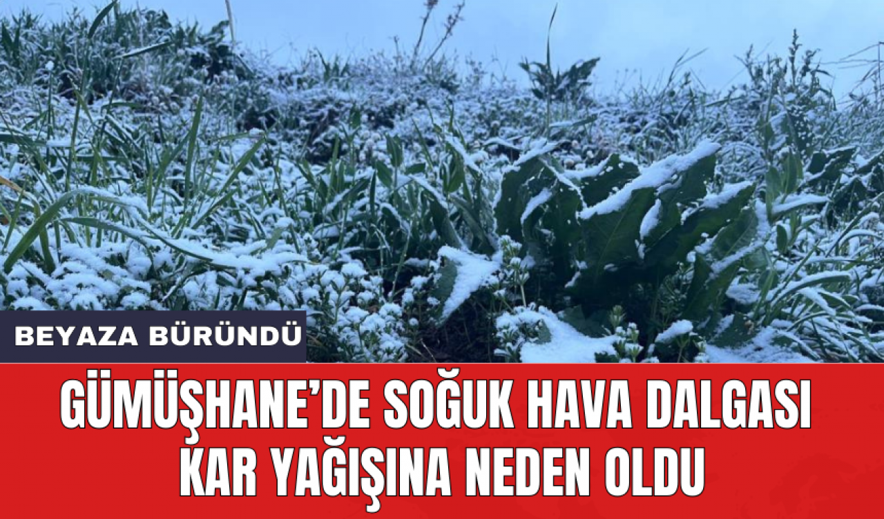 Gümüşhane’de soğuk hava dalgası kar yağışına neden oldu