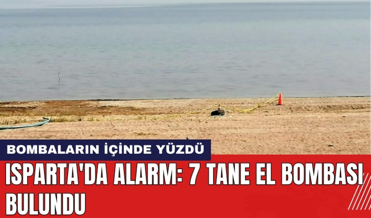 Isparta'da alarm: 7 tane el bombası bulundu