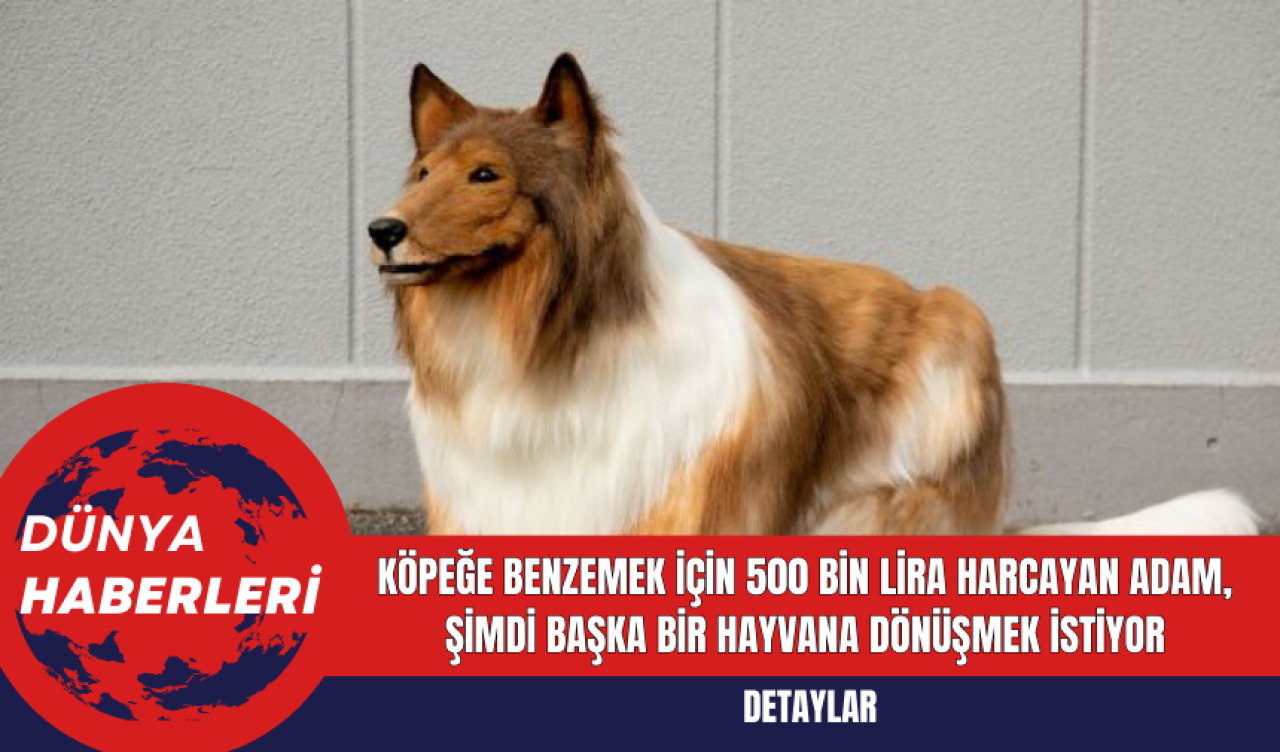 Köpeğe Benzemek İçin 500 Bin Lira Harcayan Adam, Şimdi Başka Bir Hayvana Dönüşmek İstiyor