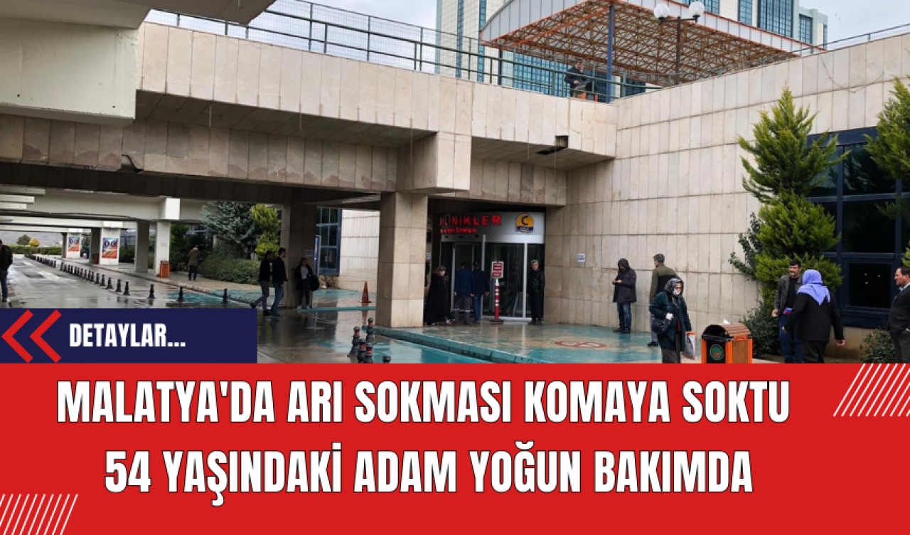 Malatya'da Arı Sokması Komaya Soktu: 54 Yaşındaki Adam Yoğun Bakımda