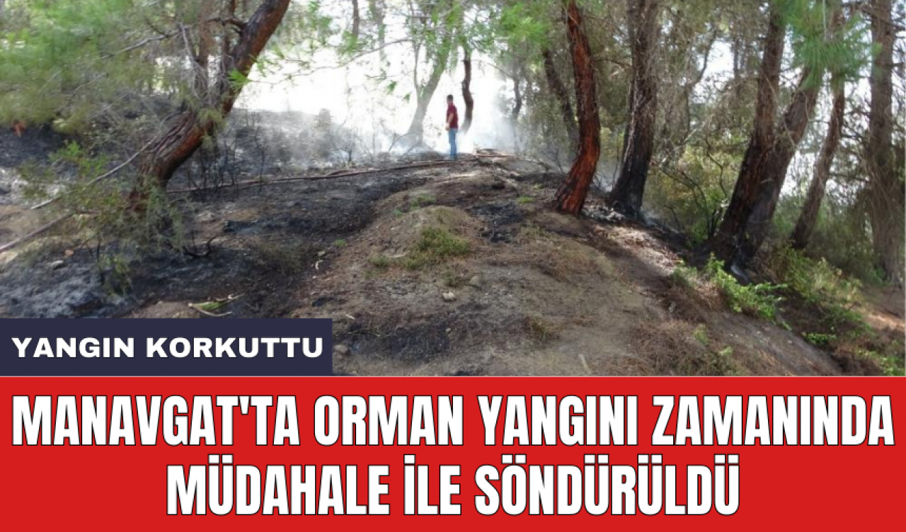 Manavgat'ta orman yangını zamanında müdahale ile söndürüldü