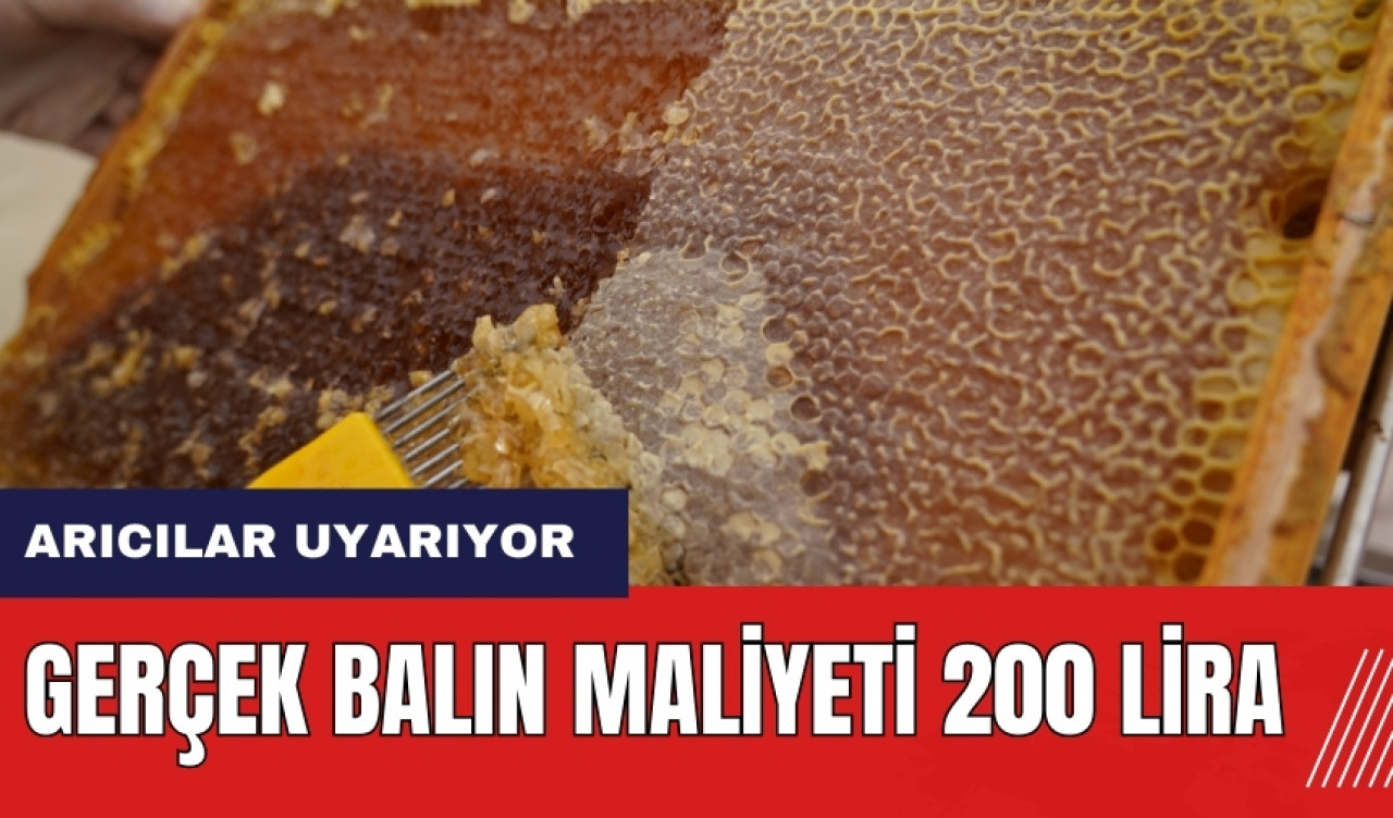 Mersinli arıcılar uyarıyor: Gerçek balın maliyeti 200 lira