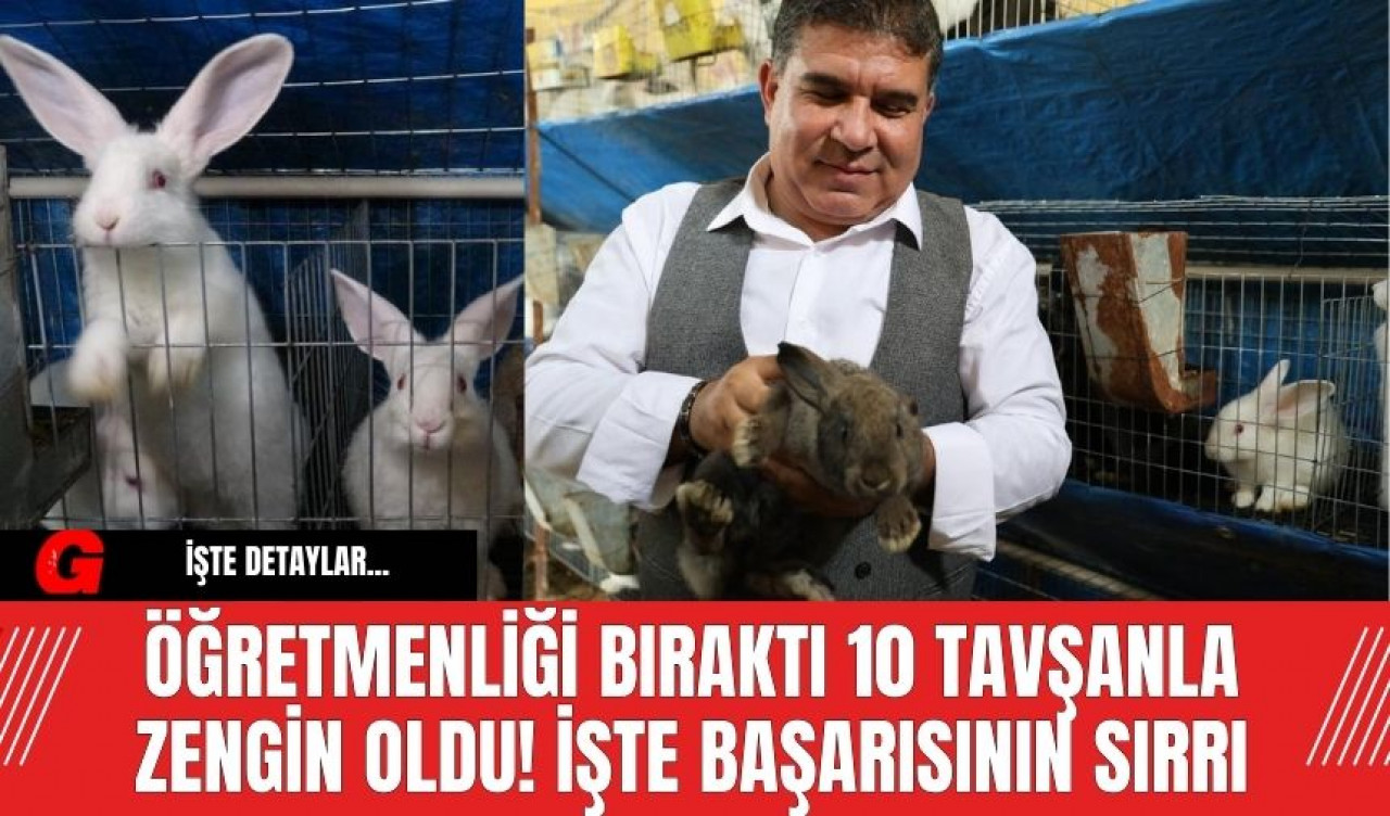 Öğretmenliği Bıraktı 10 Tavşanla Zengin Oldu! İşte Başarısının Sırrı