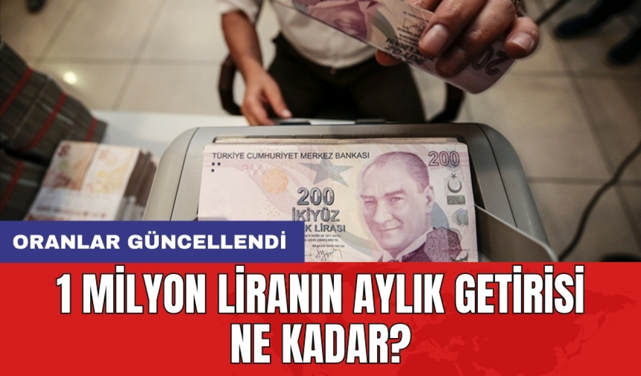 Oranlar güncellendi: 1 milyon liranın aylık getirisi ne kadar?