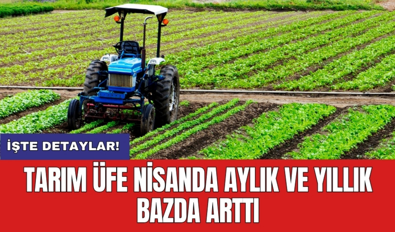 Tarım ÜFE nisanda aylık ve yıllık bazda arttı