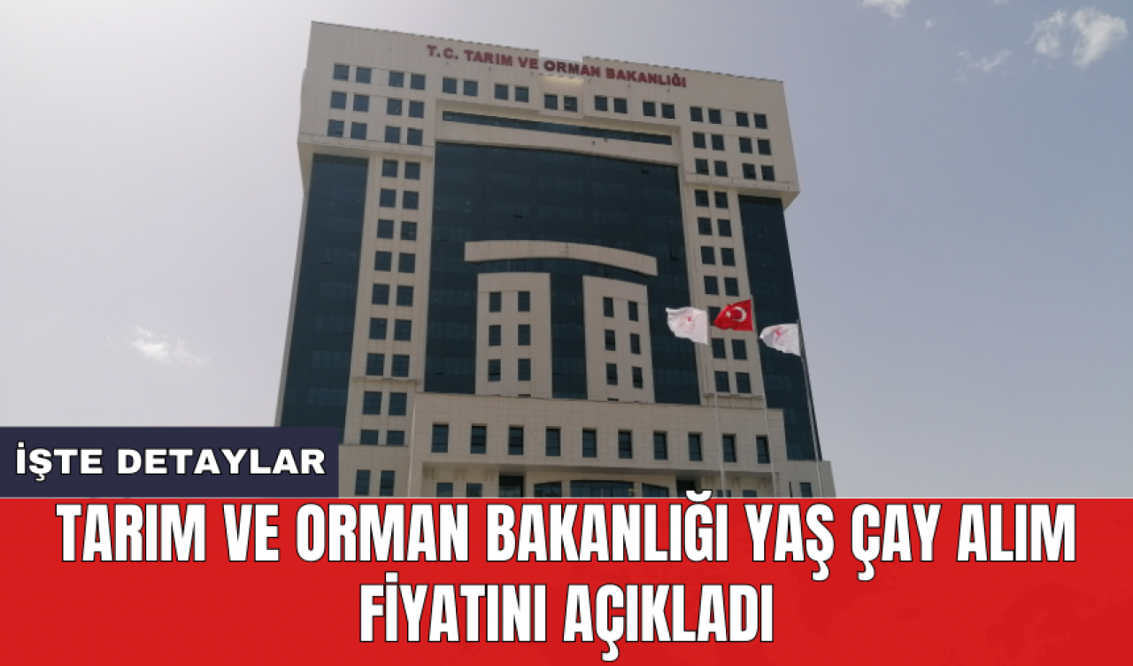 Tarım ve Orman Bakanlığı yaş çay alım fiyatını açıkladı