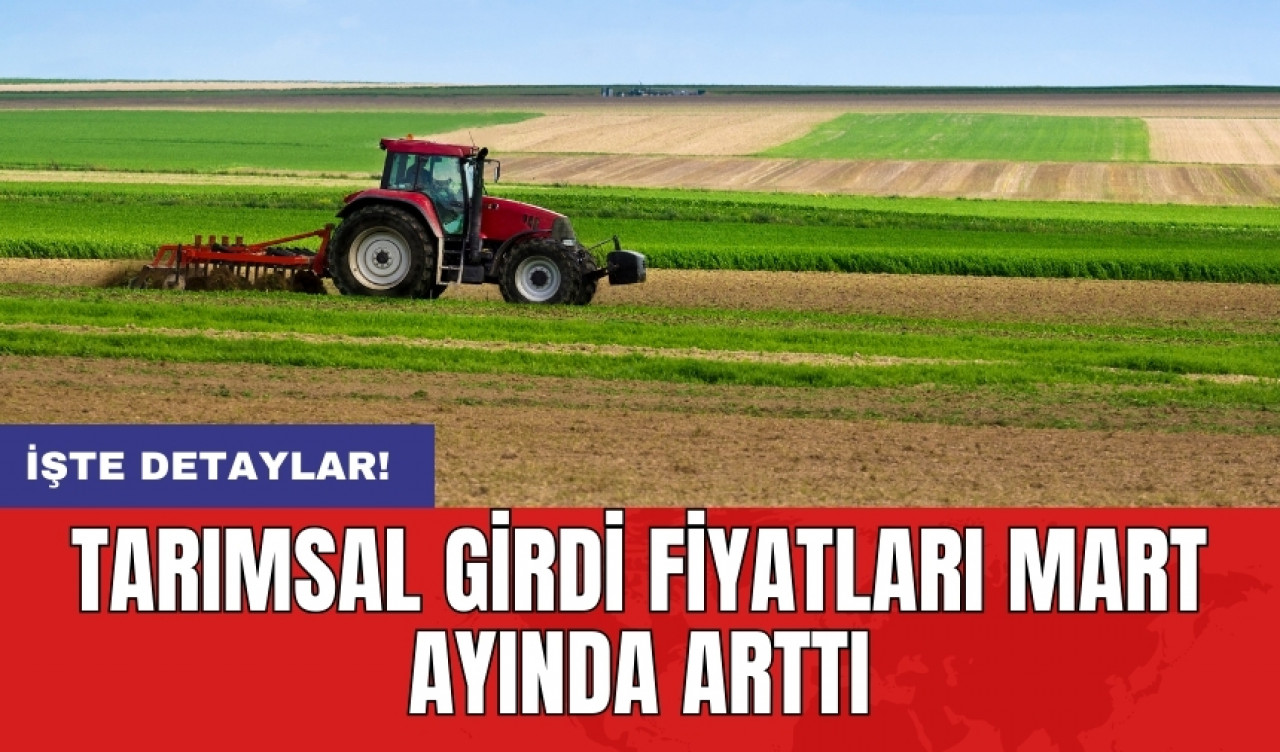 Tarımsal girdi fiyatları Mart ayında arttı