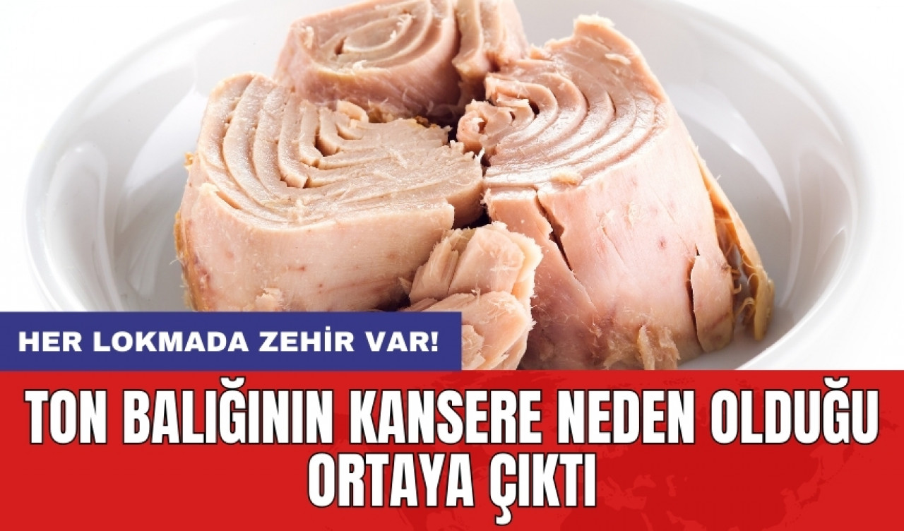 Ton balığının kansere neden olduğu ortaya çıktı: Her lokmada zehir var!