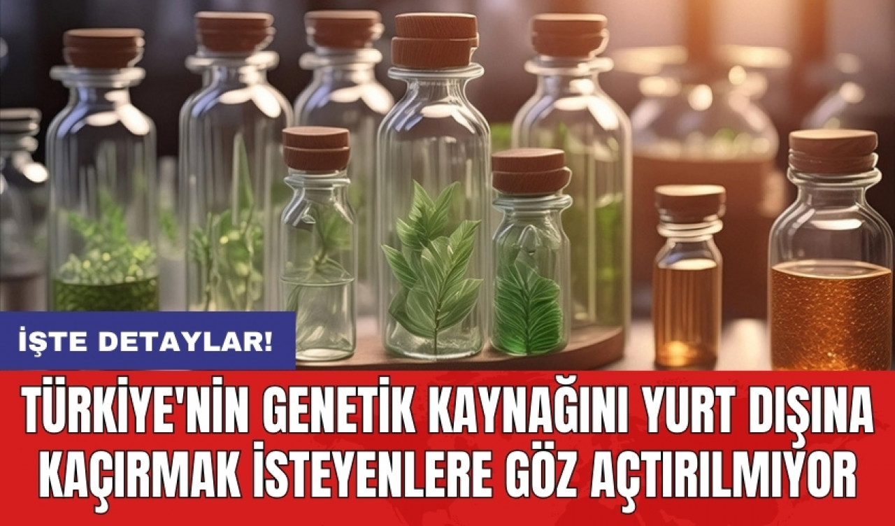 Türkiye'nin genetik kaynağını yurt dışına kaçırmak isteyenlere göz açtırılmıyor