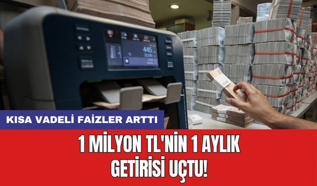 1 milyon TL'nin 1 aylık getirisi uçtu!