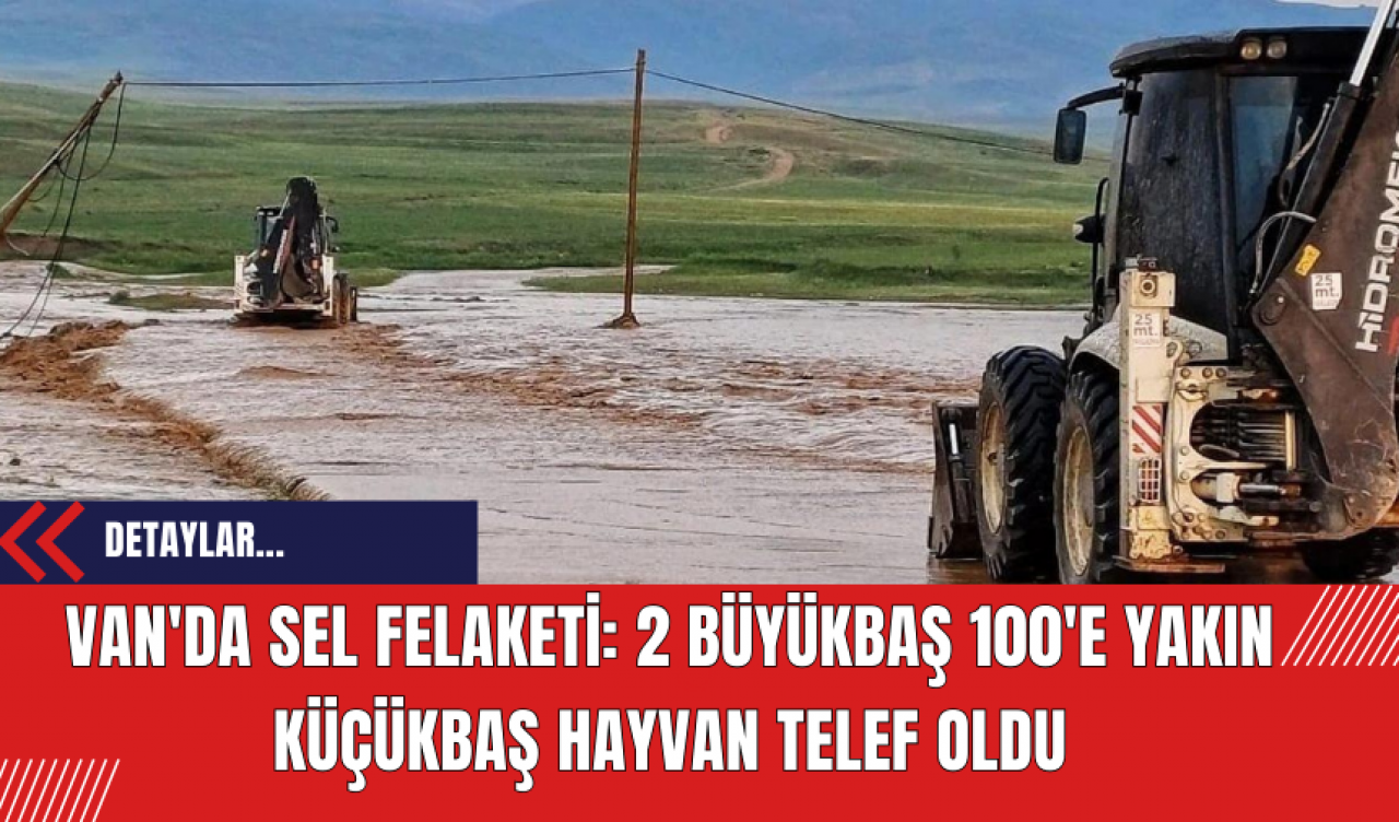 Van'da sel felaketi:2 büyükbaş 100'e yakın küçükbaş hayvan telef oldu