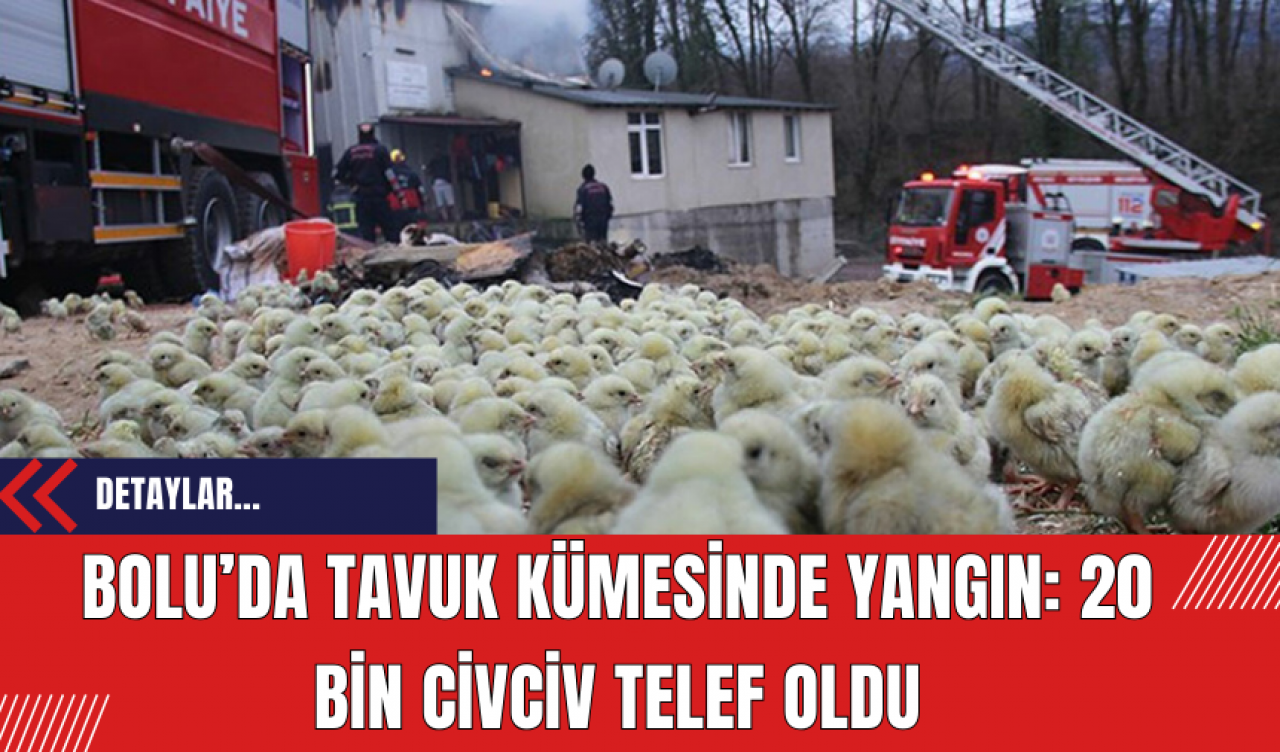 Bolu’da Tavuk Kümesinde Yangın: 20 Bin Civciv Telef Oldu