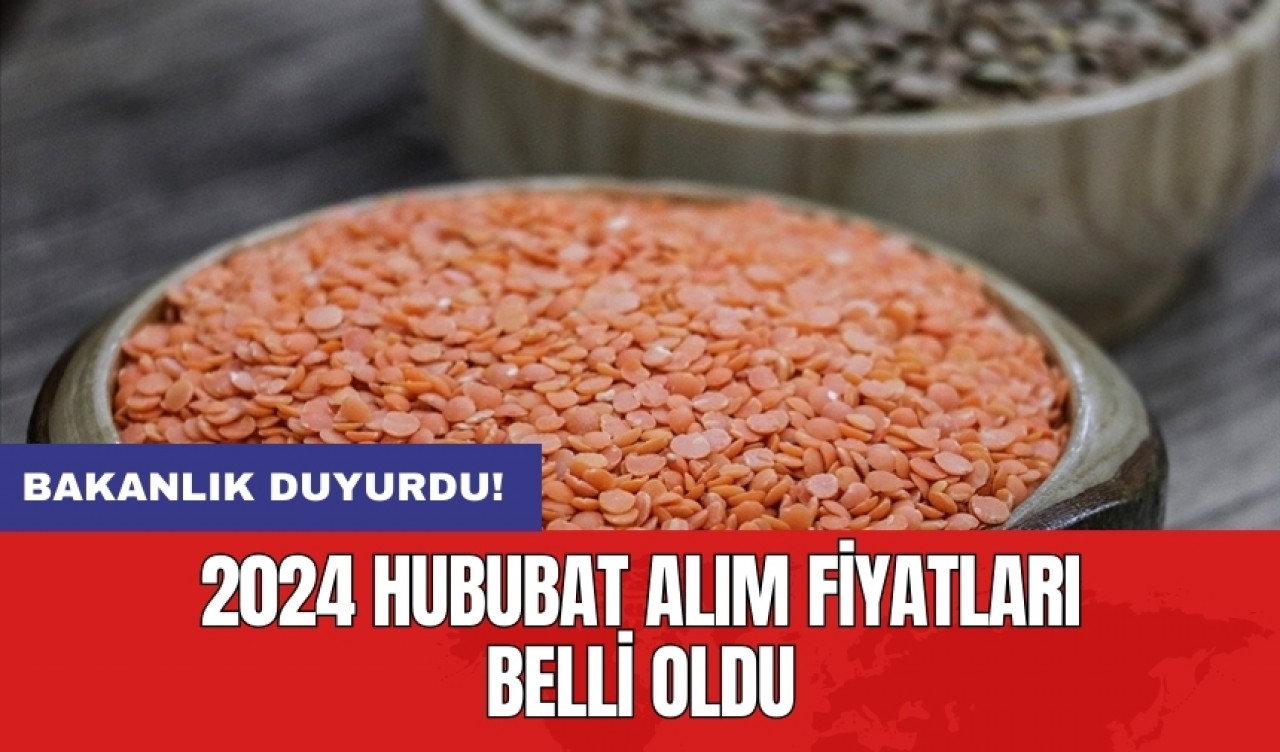 2024 hububat alım fiyatları belli oldu