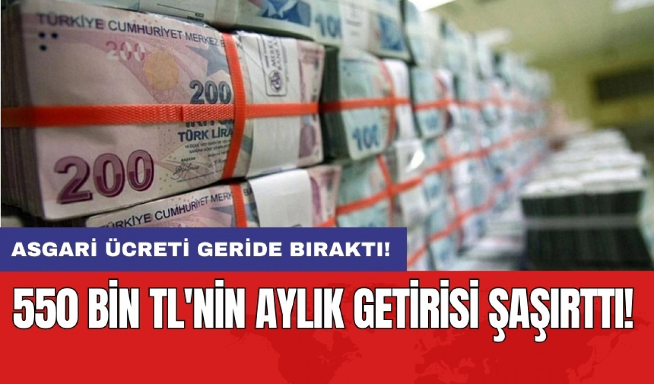 550 bin TL'nin aylık getirisi şaşırttı!