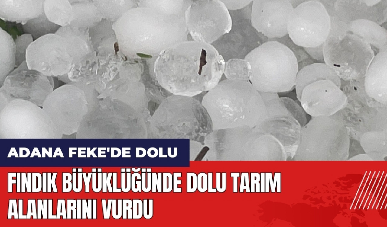 Adana Feke'de fındık büyüklüğünde dolu tarım alanlarını vurdu