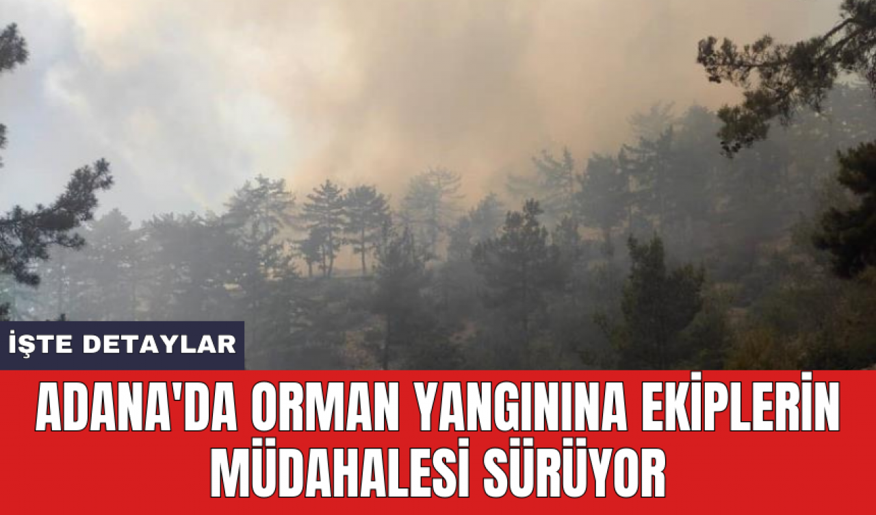 Adana'da orman yangınına ekiplerin müdahalesi sürüyor