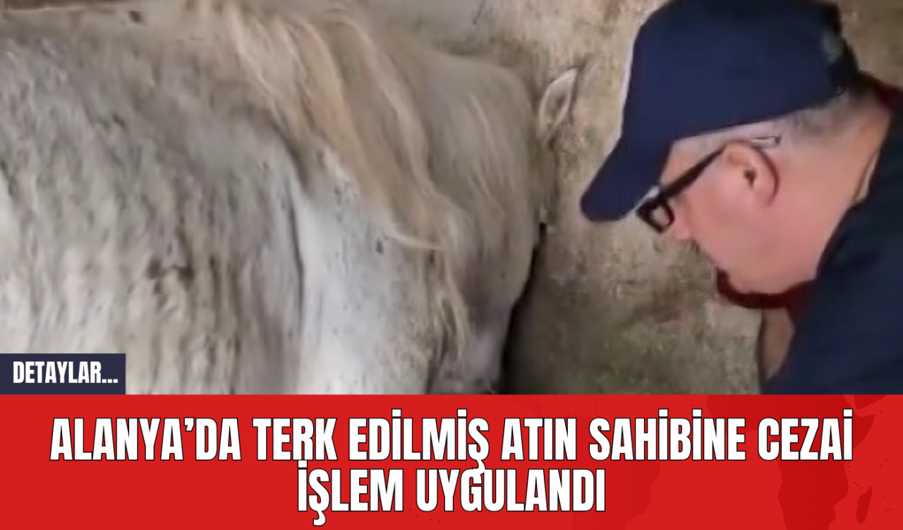 Alanya’da Terk Edilmiş Atın Sahibine Cezai İşlem Uygulandı