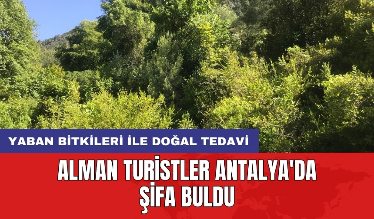 Alman turistler Antalya'da şifa buldu: Yaban bitkileri ile doğal tedavi