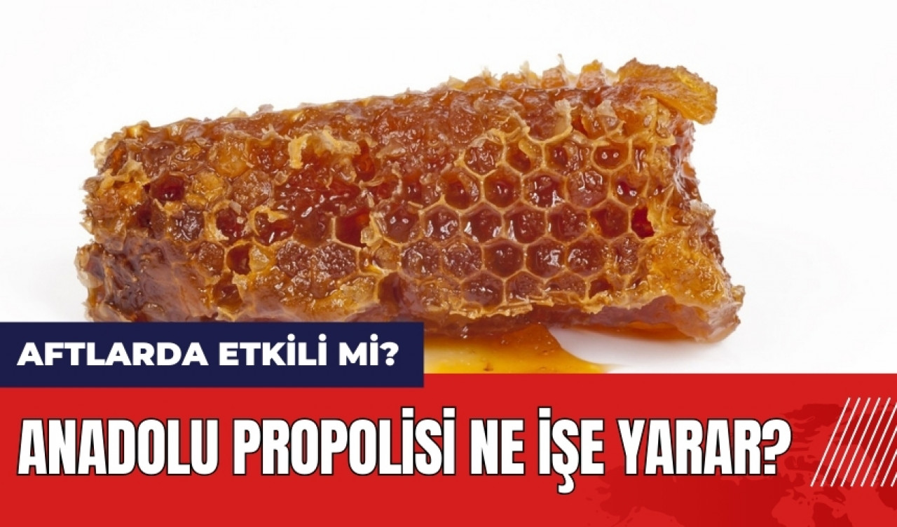 Anadolu propolisi ne işe yarar? Aftlarda etkili mi?