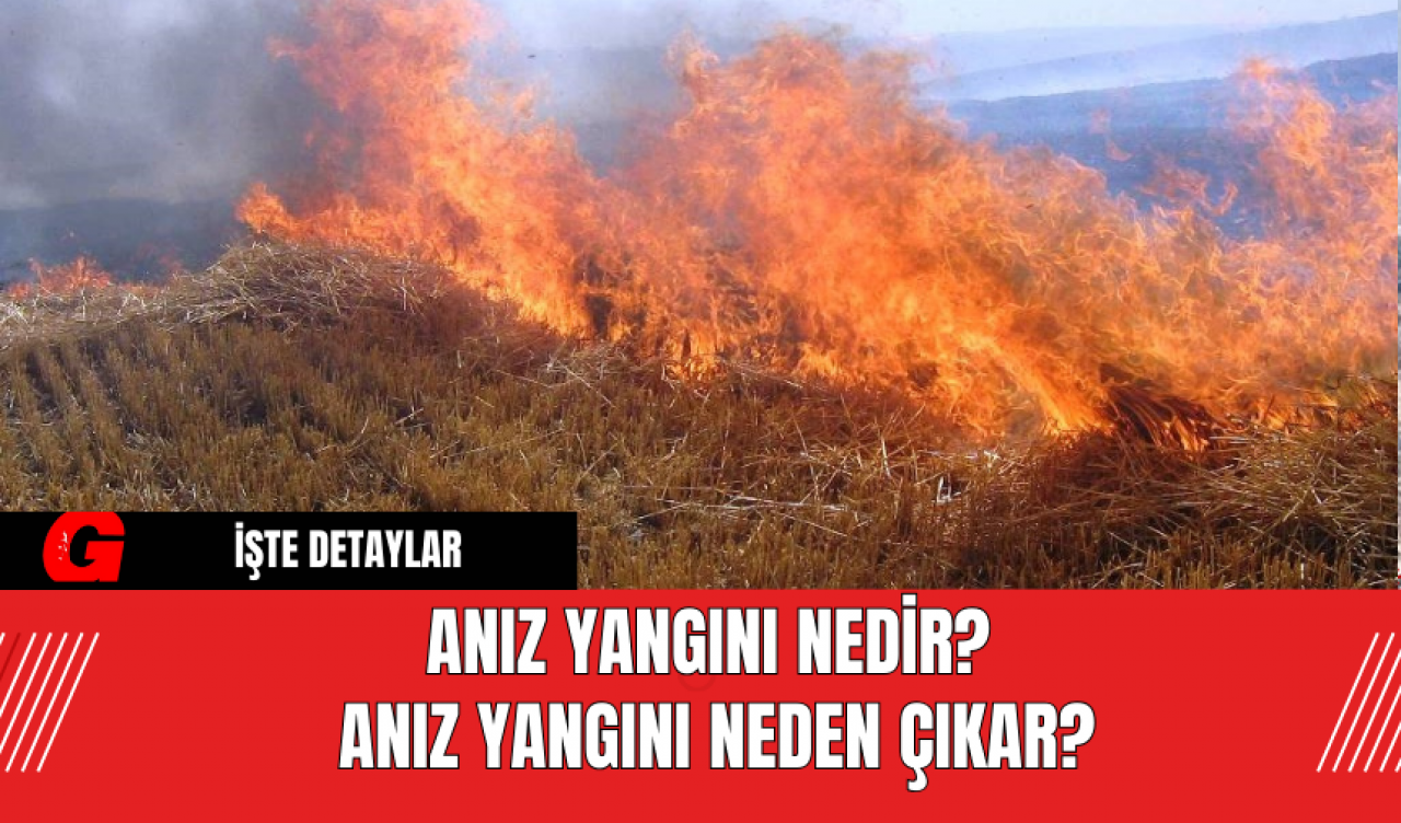 Anız Yangını Nedir? Anız Yangını Neden Çıkar?