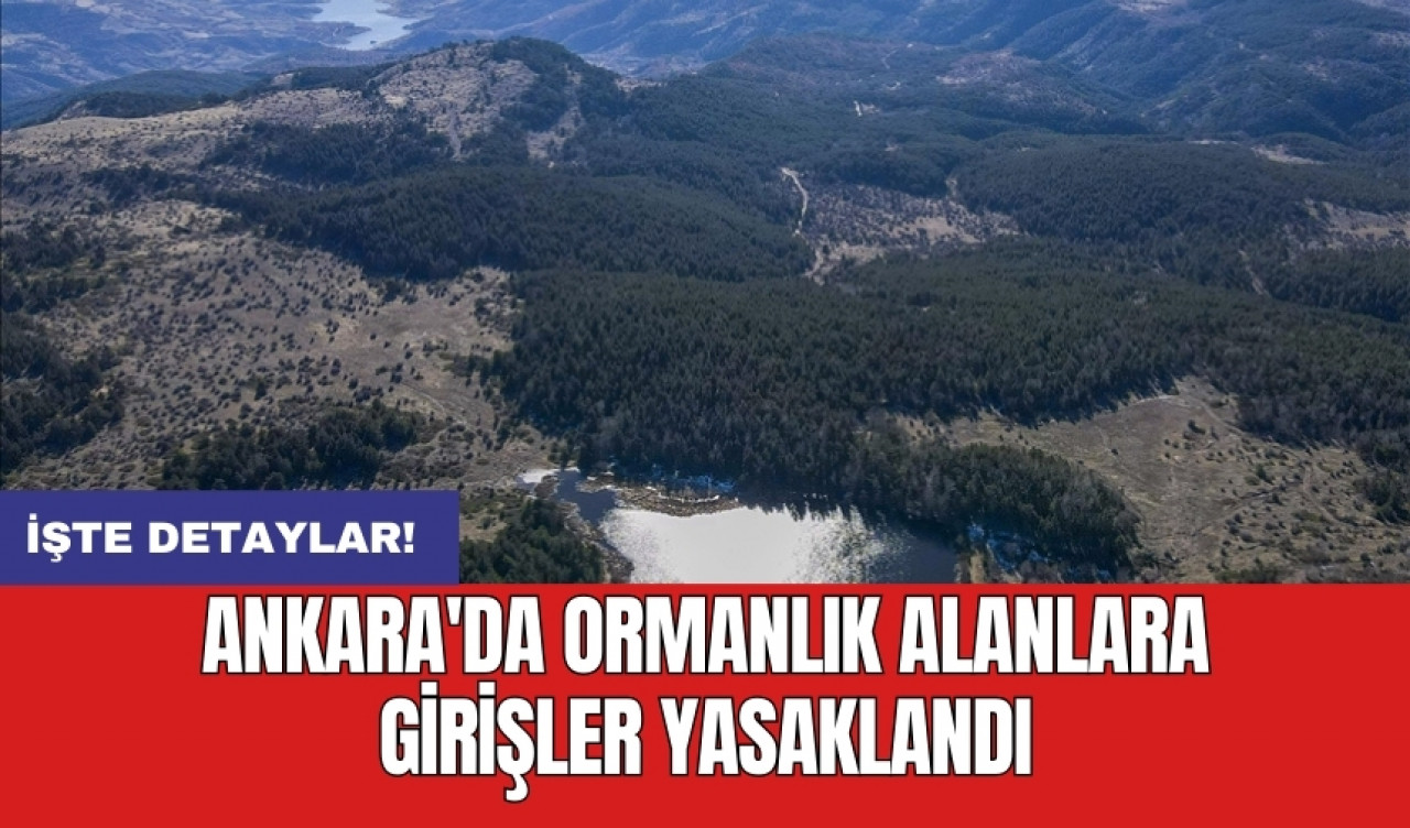 Ankara'da ormanlık alanlara girişler yasaklandı