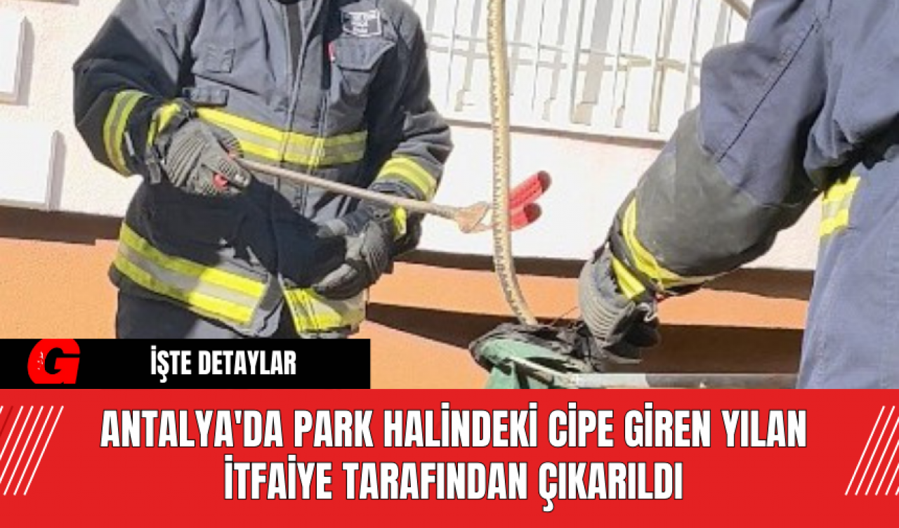 Antalya'da Park Halindeki Cipe Giren Yılan İtfaiye Tarafından Çıkarıldı