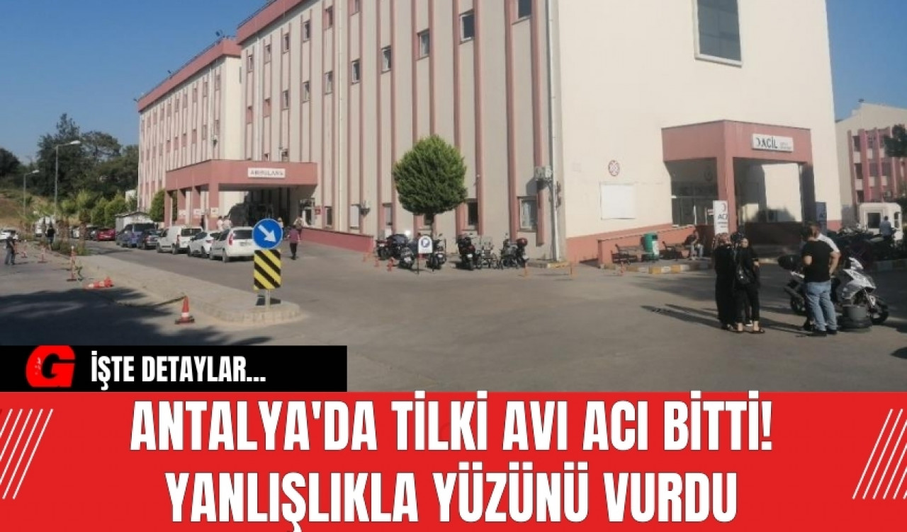 Antalya'da tilki avı acı bitti! Yanlışlıkla yüzünü vurdu