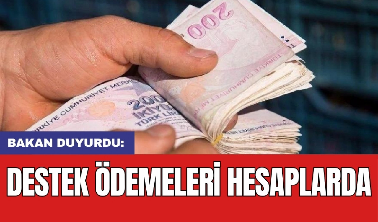 Bakan duyurdu: Destek ödemeleri hesaplarda