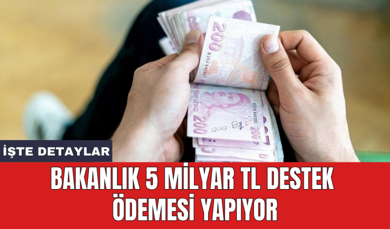 Bakanlık 5 milyar TL destek ödemesi yapıyor