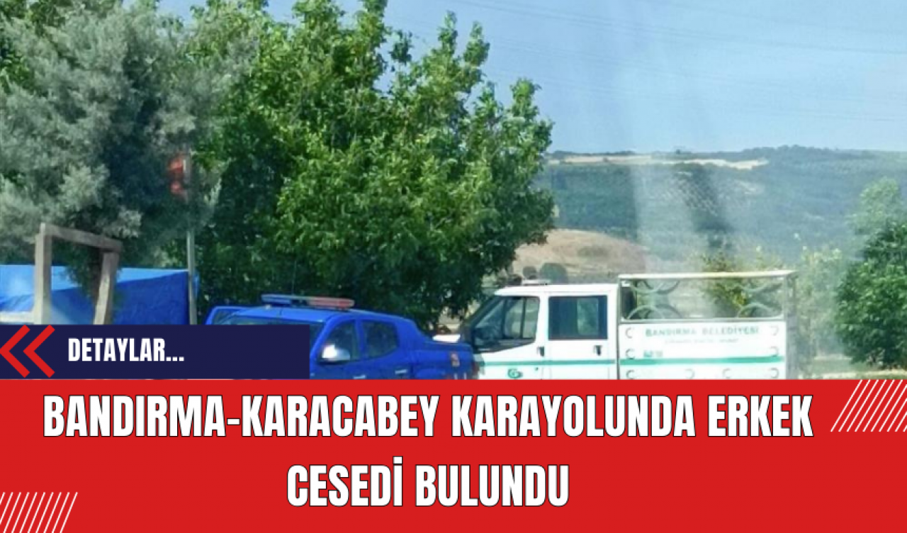 Bandırma-Karacabey Karayolunda Erkek Cesedi Bulundu