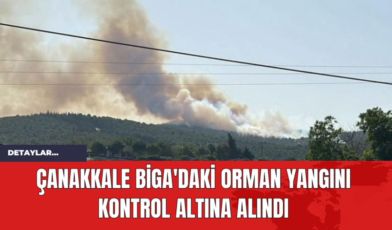 Çanakkale Biga'daki Orman Yangını Kontrol Altına Alındı